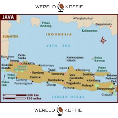 Koffiebonen Java Mocha EKO Blend